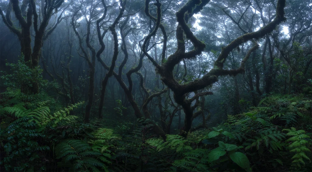 El Bosque encantado