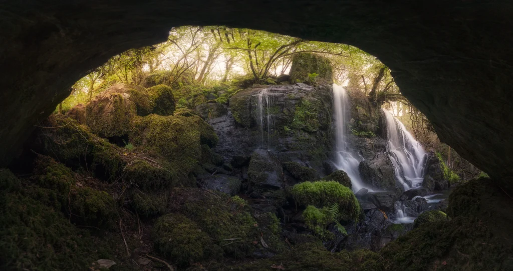 La Cueva del bosque