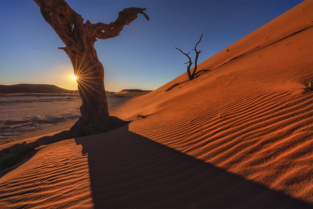 Entre luces y sombras