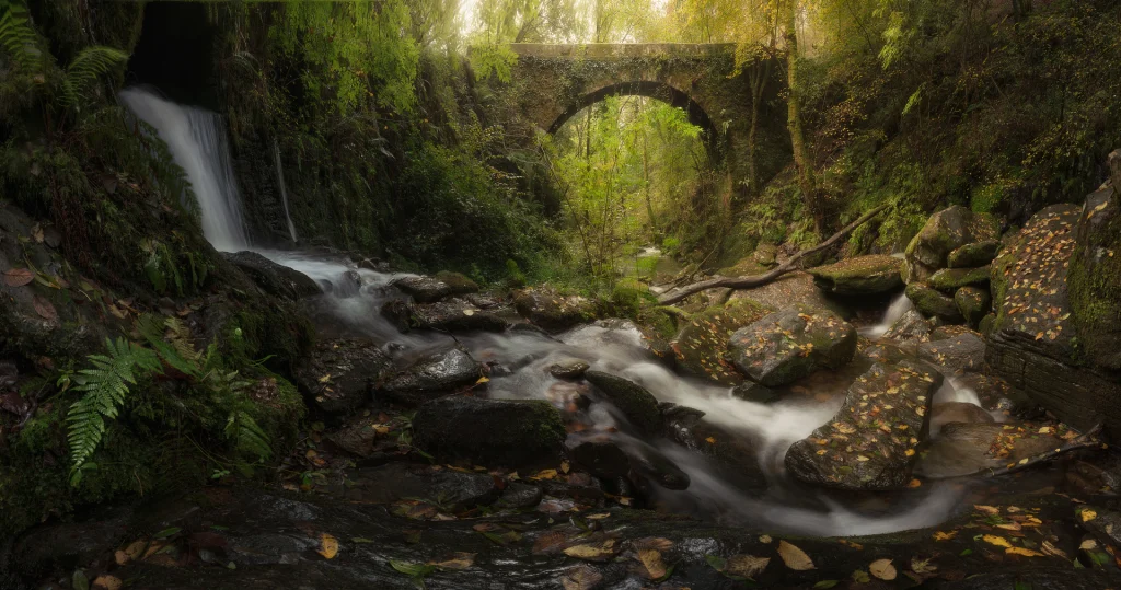 Bosque Mágico